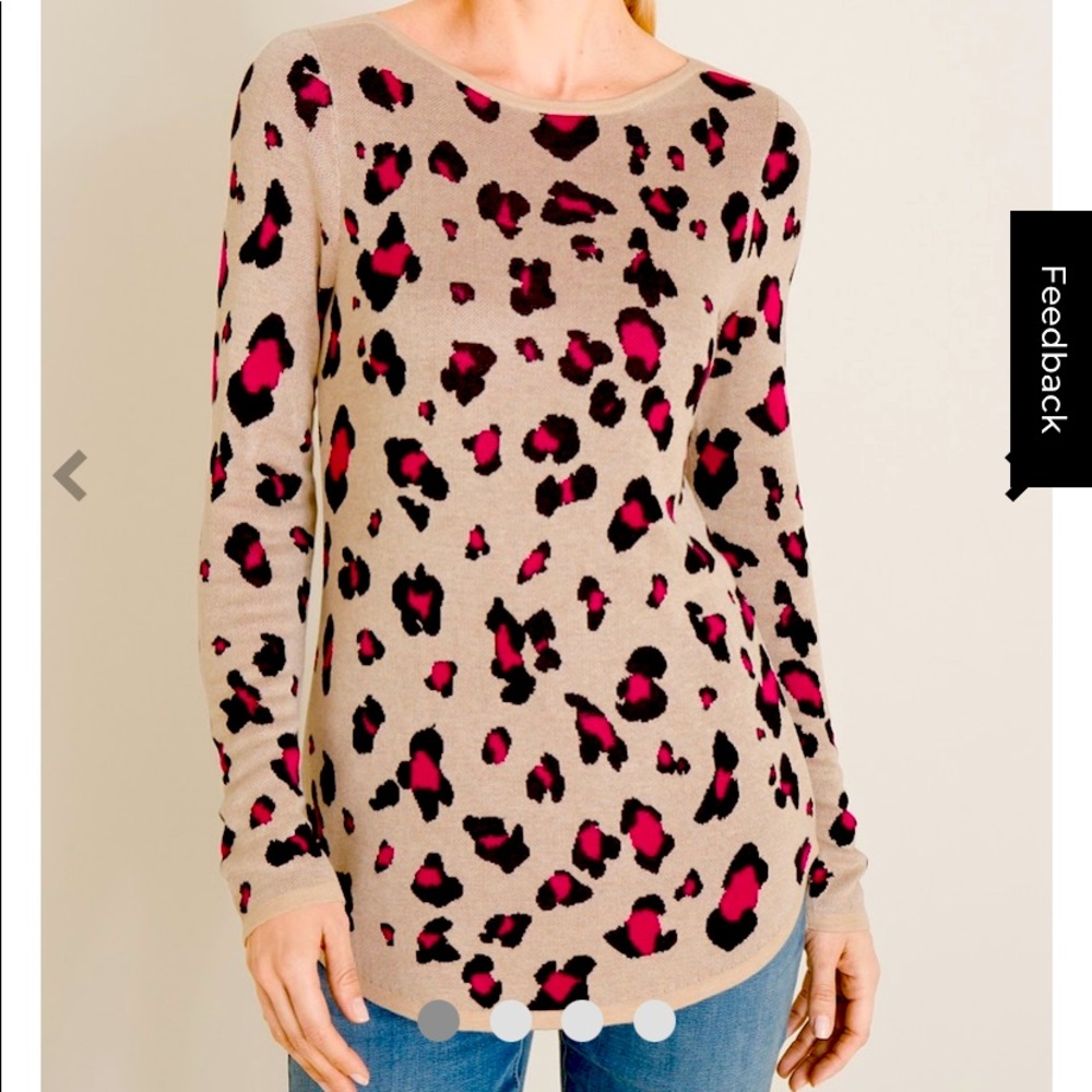 Cute New Chico’s Animal Print Sweater